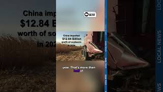 Some Iowa soybean farms nervous about losing trade with China amid trade war