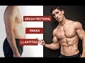 PÉRDIDA DE GRASA 101 PARA HOMBRES (Grasa Pectoral, Barriga, Llantitas…)