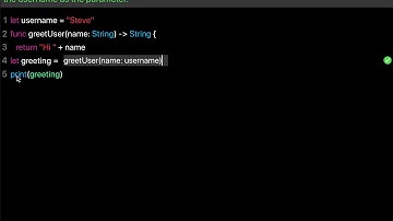 Learn Swift: Pass parameter into function (Chapter 9 Lesson 2)