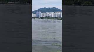 #낙동강변# 강물따라#우리인생따라#힐링#