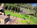 FPV Practice  - FPV Fatshark HD02 and BetaFPV Insta360 Camera PIP 08JUN21