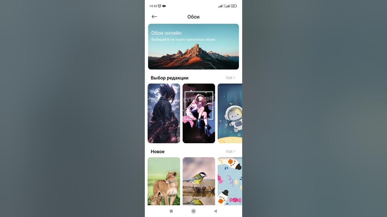 Приложение Карусель обоев. Карусель обои на айфон. Карусель обоев Xiaomi. Как отключить Карусель обоев на редми 10. Убрать карусель обоев с экрана редми