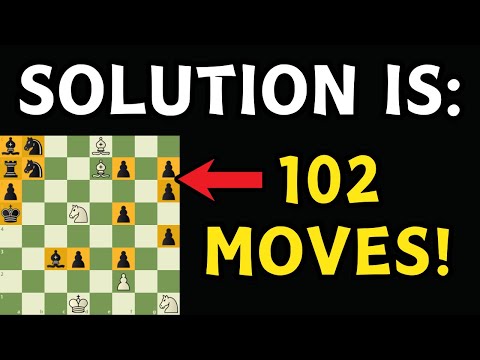 Chess Engines Cant Solve This Chess Puzzle