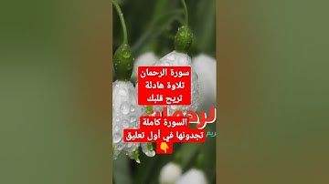 سورة الرحمان 💚 تلاوة هادئة تريح قلبك
