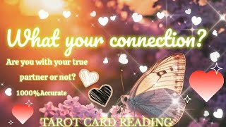 In Which Connection You're In?🌹💕PICK A CARD💫💖TAROT PREDICTIONS🔮🌙💜