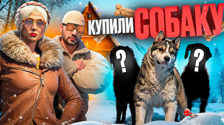 КАК МЫ ЗАВЕЛИ СОБАКУ в ГТА 5 РП (RMRP Арбат)