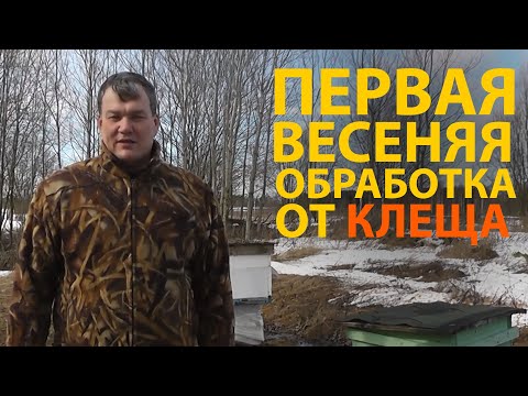 Первая обработка от
