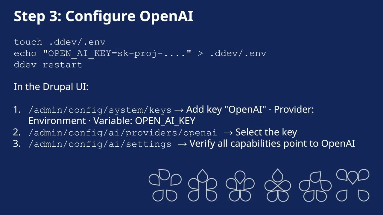 embed image