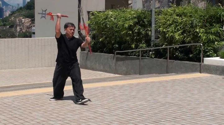 DIAN WEI SHUANG JI