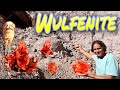 World Famous Red Cloud Mine Wulfenite | Finally made it there!