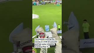 Halftime Show Mascots Take on Obstacle Course || ViralHog @viralhog
