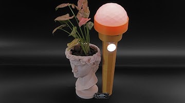 3D Hangouts – Magic Wand, Adabot and David Planter