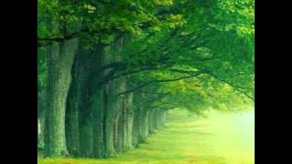 Relaxing Music - Sundial Dreams