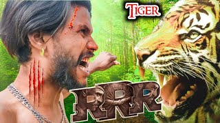 RRR movie | Jr NTR Entry scene || Rrr Tiger fight | Ramcharan #desi2world