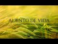 🙏🏼🌬️Aliento De Vida / Melodías Instrumentales / Paz Y Tranquilidad🌬️🙏🏼🙌🏼