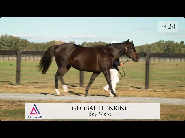 Lot 24 - GLOBAL THINKING (So You Think (NZ) - 2021 Chairman's Sale by Inglis