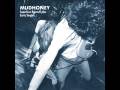 Mudhoney - Burn It Clean