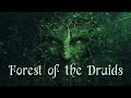 Forest of the druids  celtic fantasy music  enchanting wiccan pagan music 