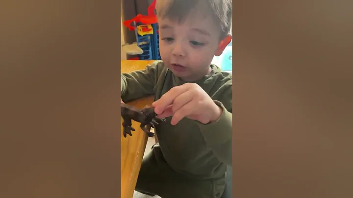 Do u know all your DINOSAURS??