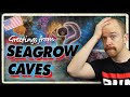 Watch this before you run the seagrow caves for the dd starter set