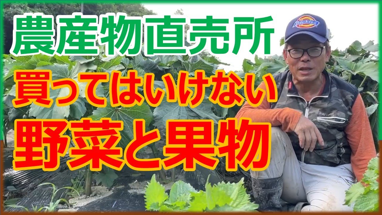 Summer 2023] Vegetables and fruits you should not buy at