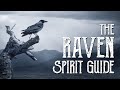 Raven Spirit Guide - Ask the Spirit Guides Oracle Totem Animal - Power Animal Magical Crafting