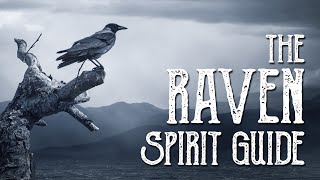Raven Spirit Guide  Ask the Spirit Guides Oracle Totem Animal  Power Animal Magical Crafting