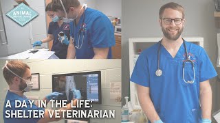 Day in the Life - Shelter Veterinarian by ARL BerksCo 1,506 views 1 year ago 4 minutes, 17 seconds