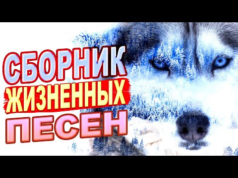 💥Лучшие песни за ЖИЗНЬ! ПОСЛУШАЙТЕ