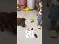 绝了 谁家孩子撅着屁股主动让狗咬啊 花式带娃看快手 人类幼崽迷惑行为 亲子 002 绝了 谁家孩子撅着屁股主动让狗咬啊 花式带娃看快手 人类幼崽迷惑行为 亲子 002