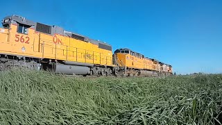 3 UP Locomotives with a lot of freight cars