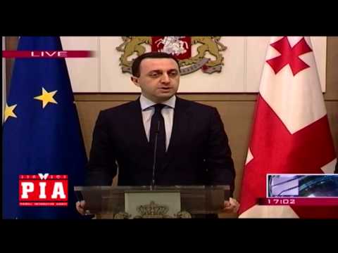 პრემიერ-მინისტრმა საგარეო საქმეთა მინისტრის პოსტზე თამარ ბერუჩაშვილი წარადგინა