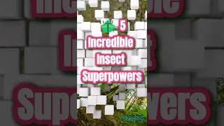 Incredible Insect Superpowers Tiny Creatures, Huge Abilities