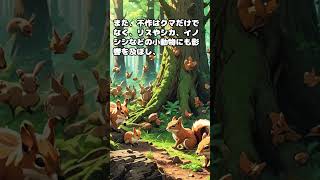 【日常生活の雑学】どんぐりの不作 #shorts