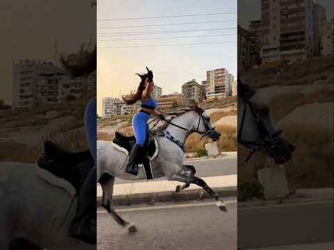 Horses خيل حصان شيلات