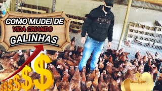 Deixei meu emprego para criar galinhas e vender ovos: hoje, ganho 32 vezes mais! by Granja Inova Ovos Caipiras 4,699 views 1 month ago 7 minutes, 9 seconds