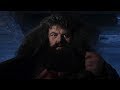 A visit from Rubeus Hagrid | Harry Potter and the Philosopher's Stone