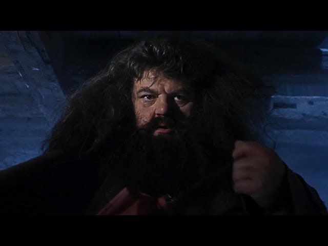 A Visit from Rubeus Hagrid - Past Continuous Tense