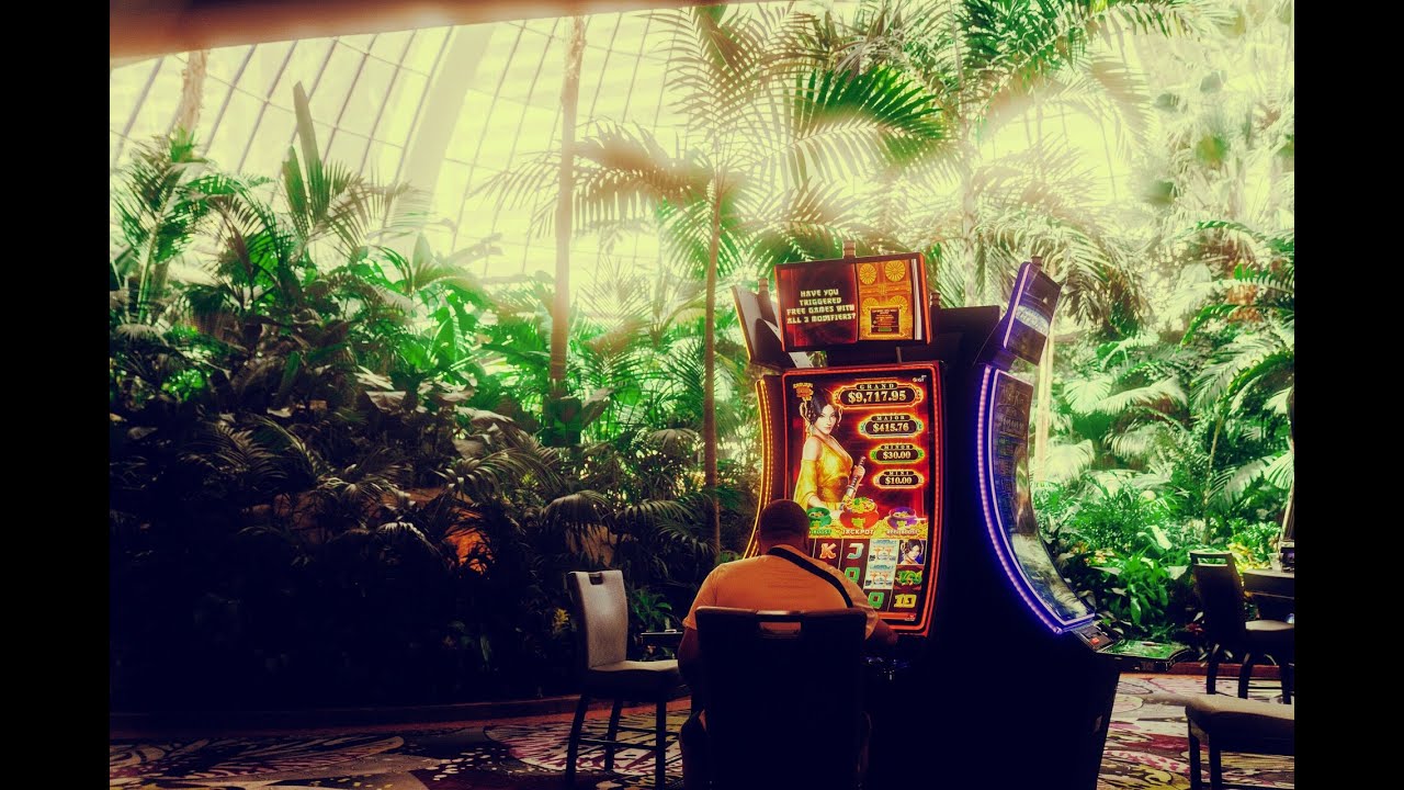The Opening of the Mirage in 1989 – The Las Vegas Book