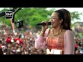 New pallapa live   kelangon   davi aldita