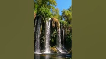 قرآن كريم بصوت شريف مصطفى | حالات واتس اب دينية ❤