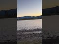 Hunting a big pond for ducks #birdhunting #goose #hunting