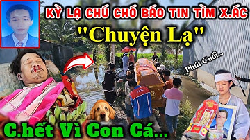 Khẩn cấp Thả Lưới Bắt Cá
