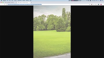 Dynamic PDF settings: Set background image