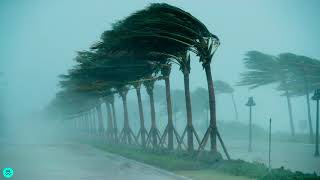 Sound Effects - Storm Winds Hurricane