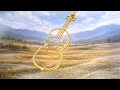 Soft Stream | Viola & Guitar Ambient | Relaxing Instrumental Music