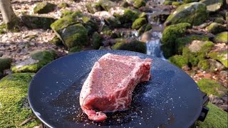 Steak in Wald zubereitet