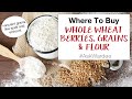 Where To Buy Whole Wheat Berries, Grains, and Flour #AskWardee 148