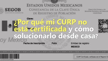 ¿Por qué mi CURP no está certificada y cómo solucionarlo desde casa?