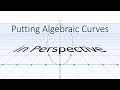 Putting Algebraic Curves in Perspective